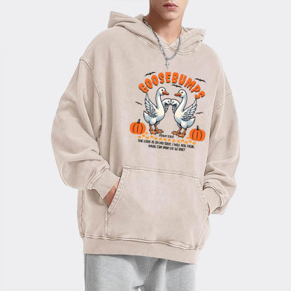 Goosebumps Christian Washed Hoodie