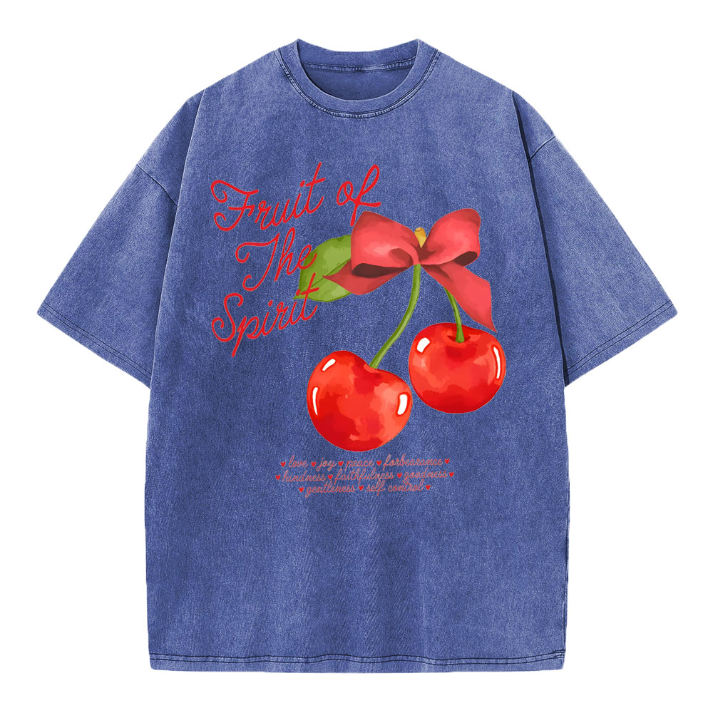 Fruit Of Spirit Christian Washed T-Shirt