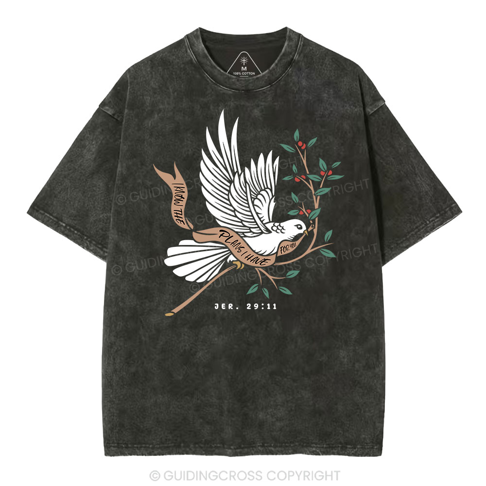 I Know The Plans I Have For You Christian Washed T-Shirt