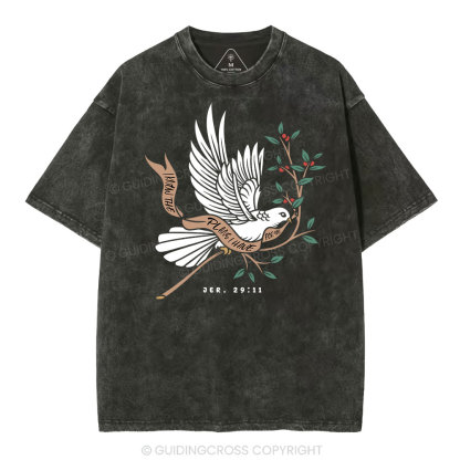 I Know The Plans I Have For You Christian Washed T-Shirt