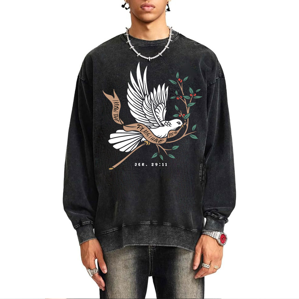 I Know The Plans I Have For You Christian Washed Sweatshirt