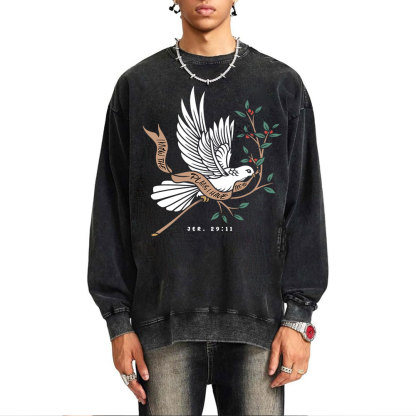 I Know The Plans I Have For You Christian Washed Sweatshirt