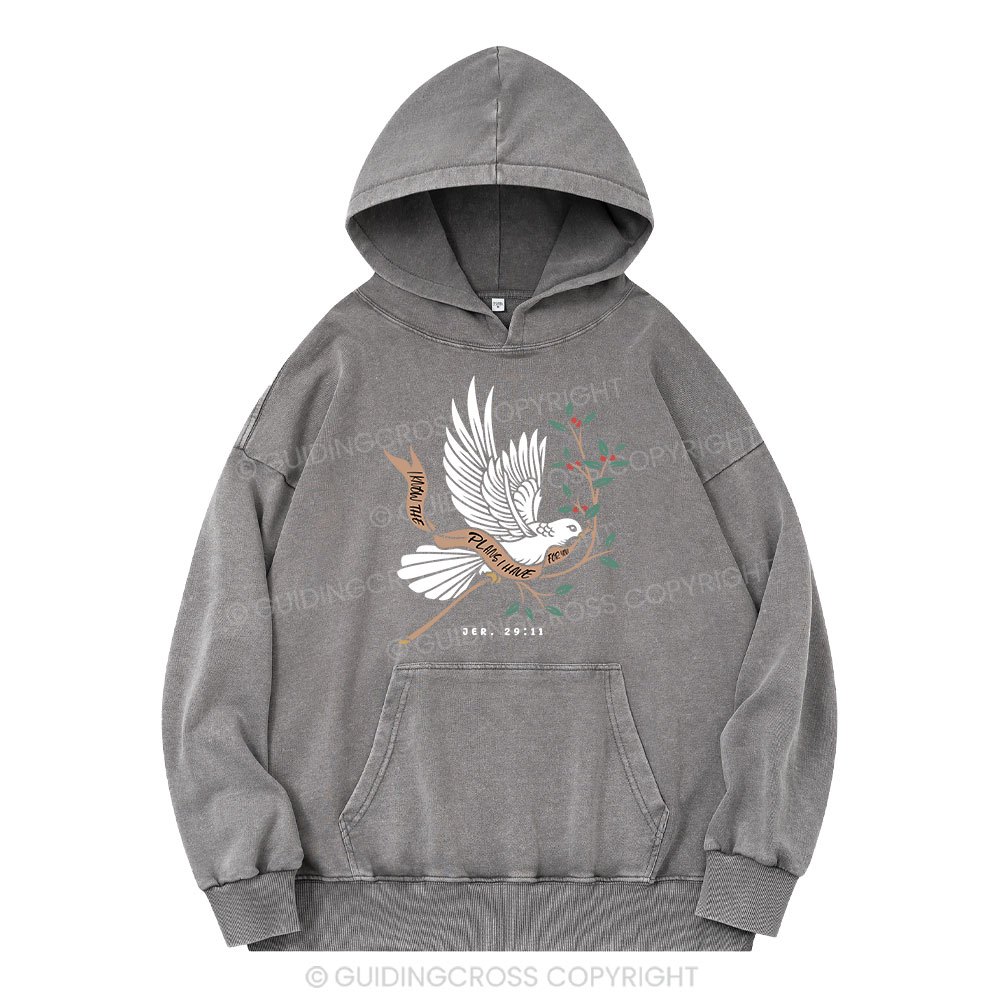 I Know The Plans I Have For You Christian Washed Hoodie