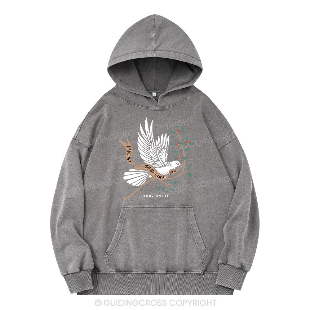 I Know The Plans I Have For You Christian Washed Hoodie