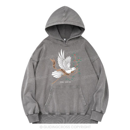 I Know The Plans I Have For You Christian Washed Hoodie