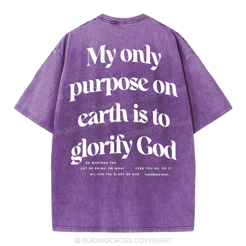My Only Purpose Christian Washed T-Shirt