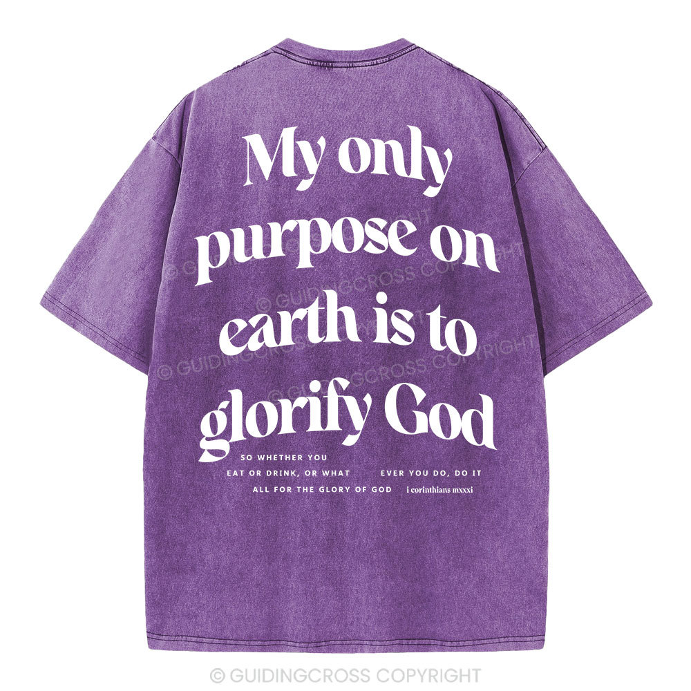 My Only Purpose Christian Washed T-Shirt