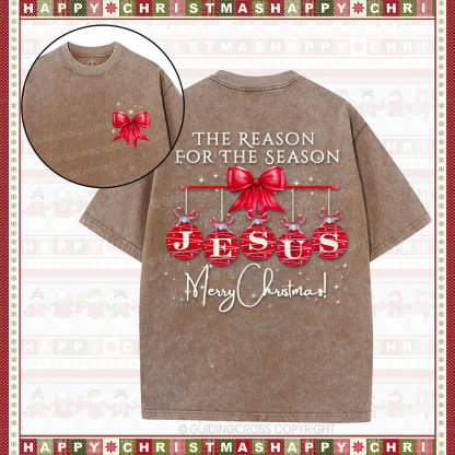 Jesus Reason For Season Christian Washed T-Shirt