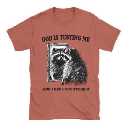 God Is Testing Me And I Have Not Studied Christian T-Shirt