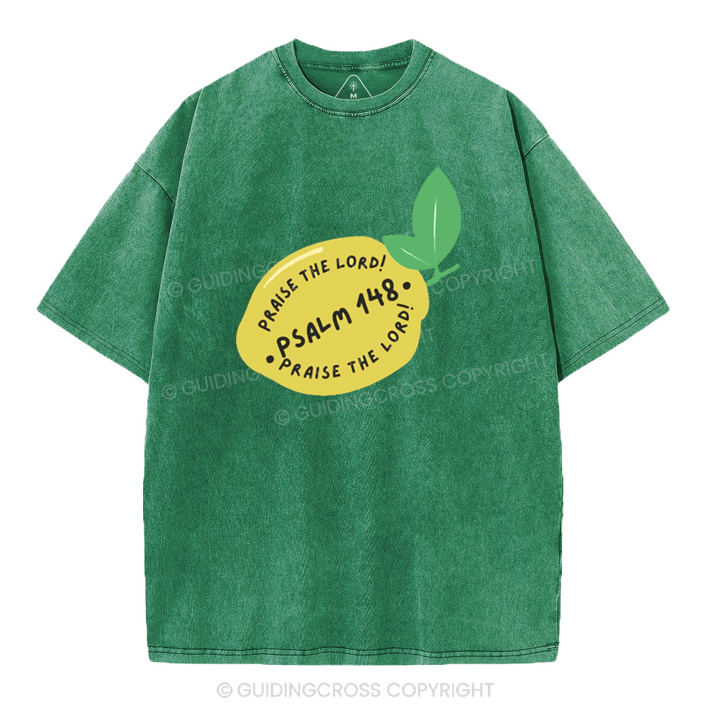 Praise The Lord Christian Washed T-Shirt