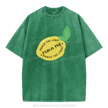 Praise The Lord Christian Washed T-Shirt
