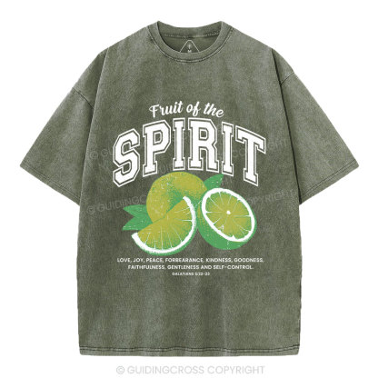 Fruit Of The Spirit Christian Washed T-Shirt
