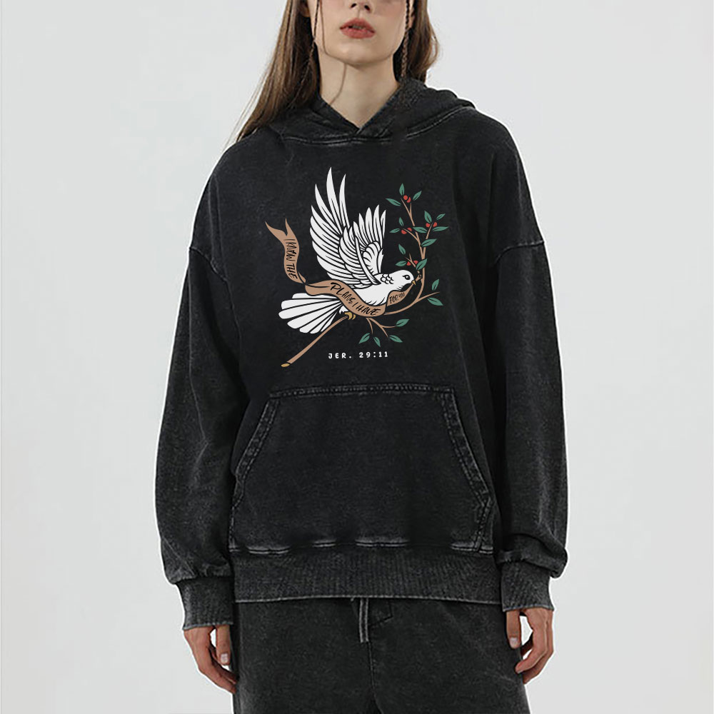 I Know The Plans I Have For You Christian Washed Hoodie