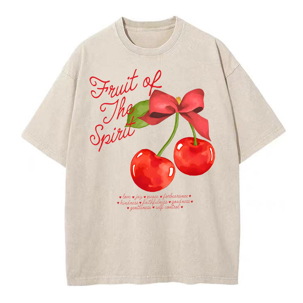 Fruit Of Spirit Christian Washed T-Shirt