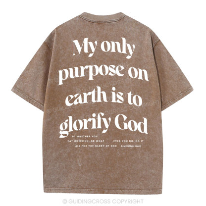 My Only Purpose Christian Washed T-Shirt