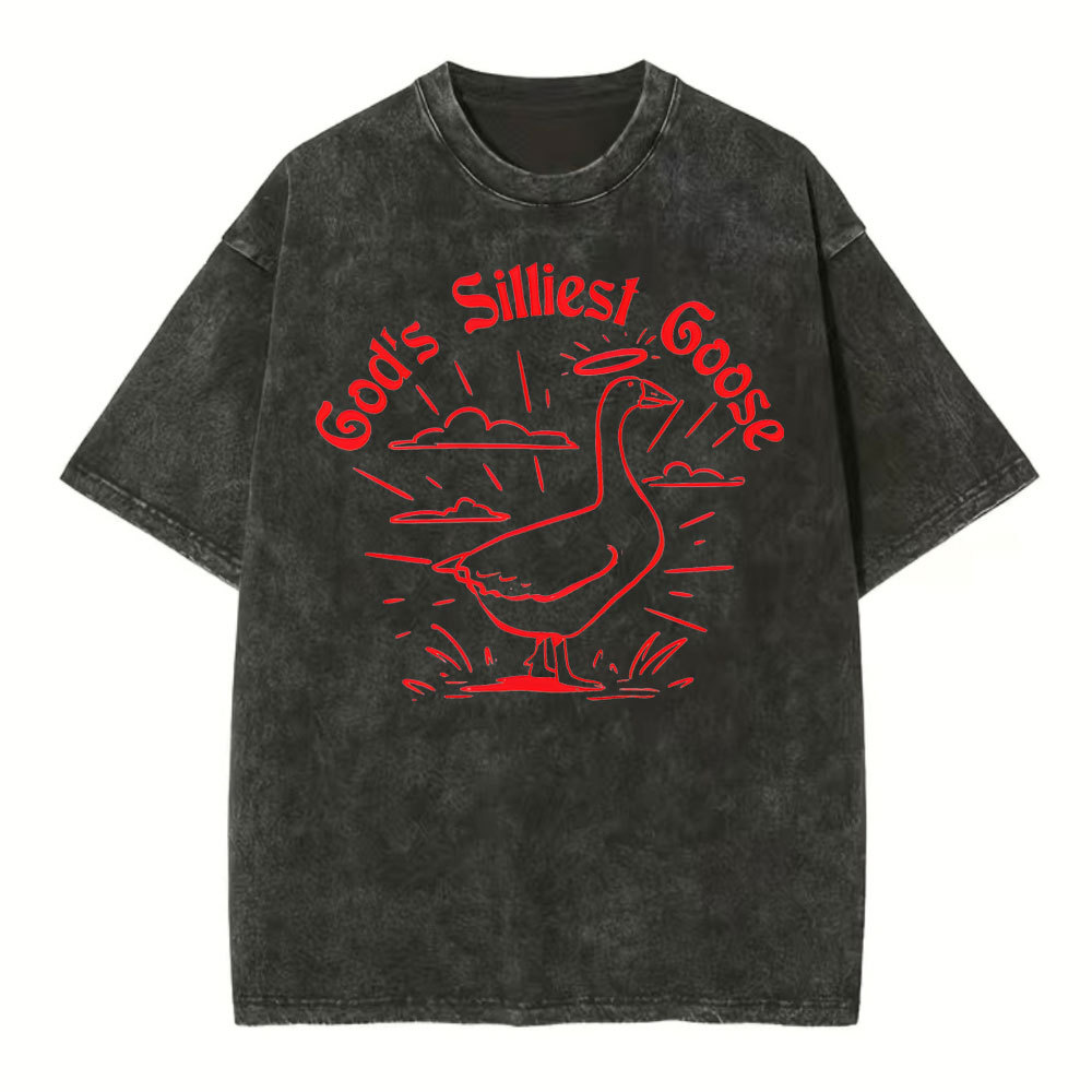 God's Silliest Goose Christian Washed T-Shirt