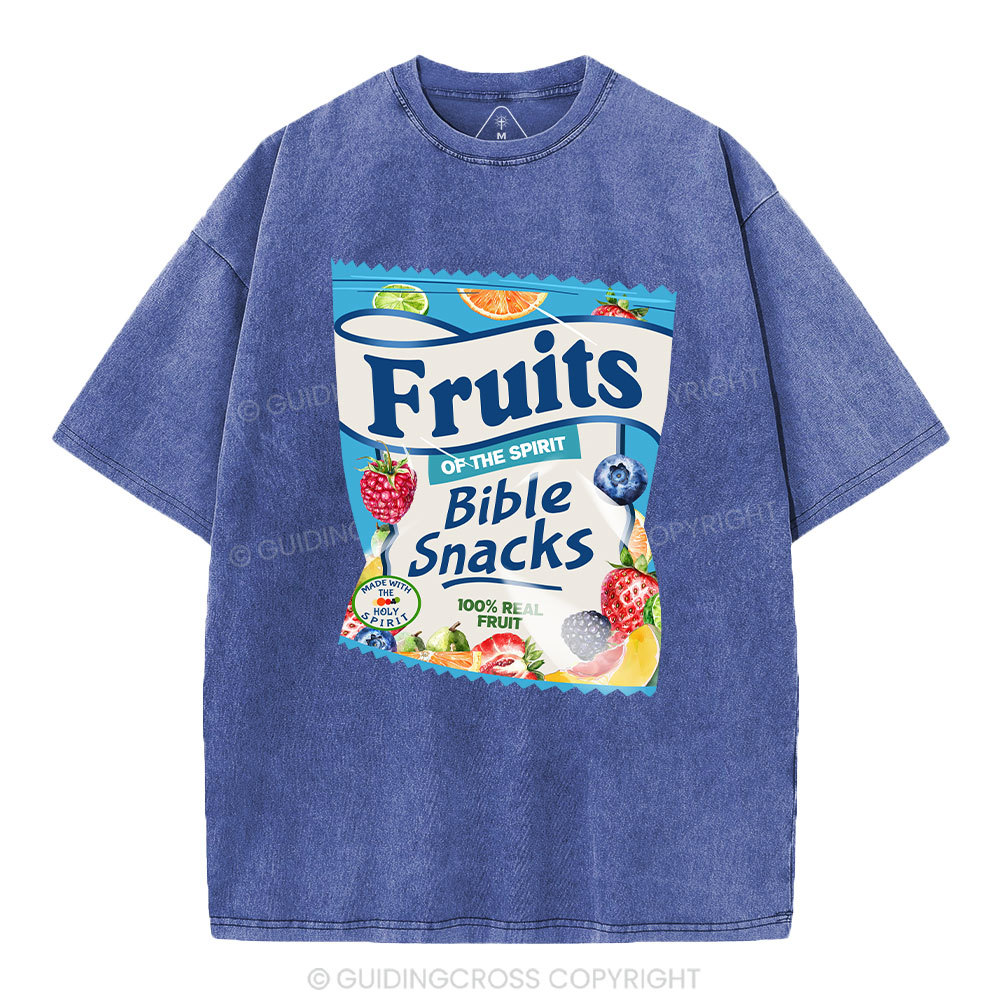Fruit Of The Spirit Christian Washed T-Shirt