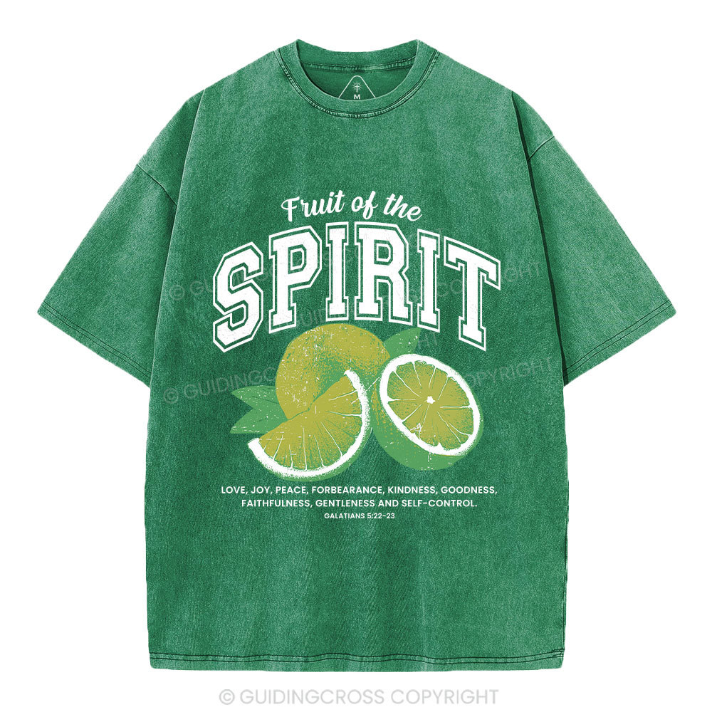 Fruit Of The Spirit Christian Washed T-Shirt