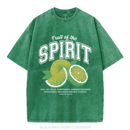 Fruit Of The Spirit Christian Washed T-Shirt