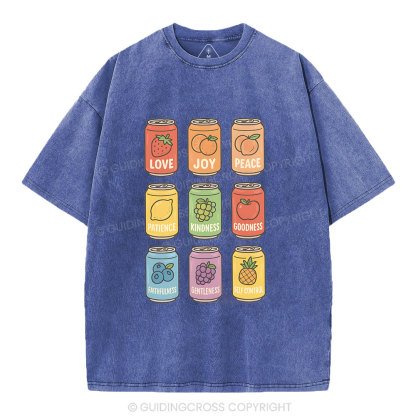 Fruit Of The Spirit Christian Washed T-Shirt