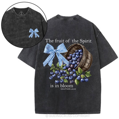 The Fruit Of The Spirit Christian Washed T-Shirt