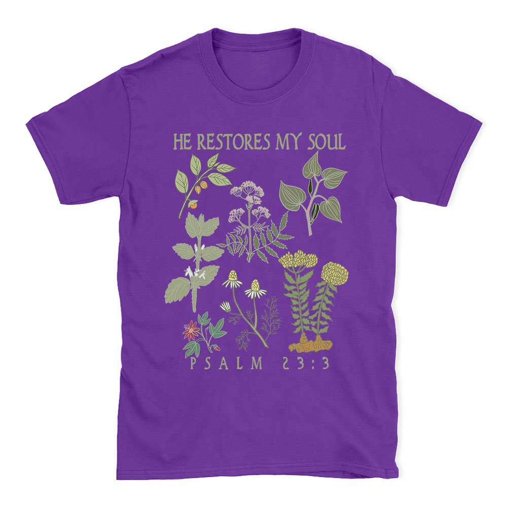 He Restores My Soul Christian T-Shirt