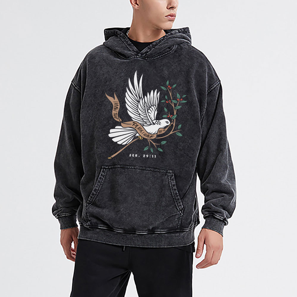 I Know The Plans I Have For You Christian Washed Hoodie