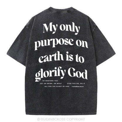 My Only Purpose Christian Washed T-Shirt