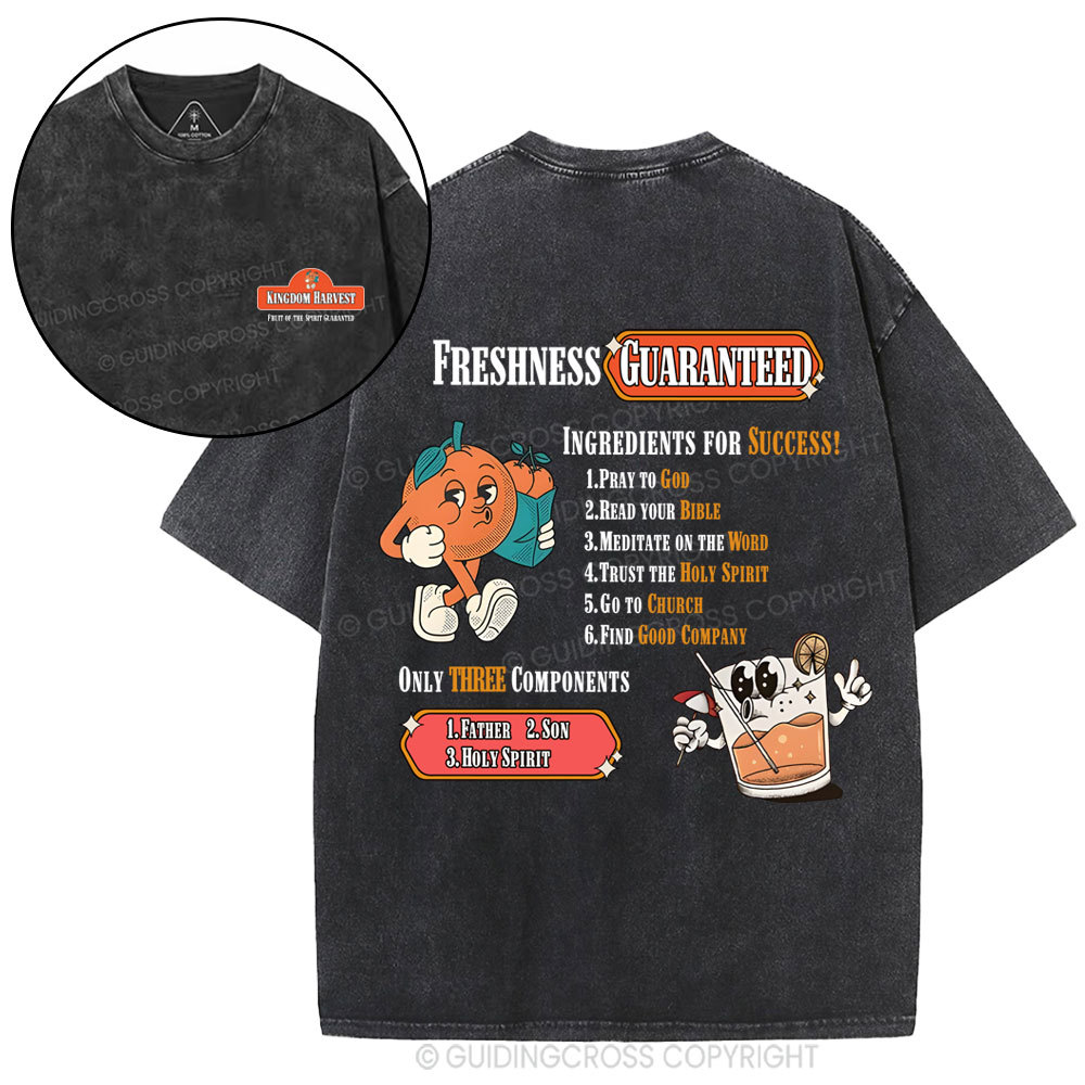 Kingdom Harvest Christian Washed T-Shirt