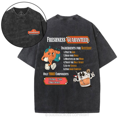 Kingdom Harvest Christian Washed T-Shirt