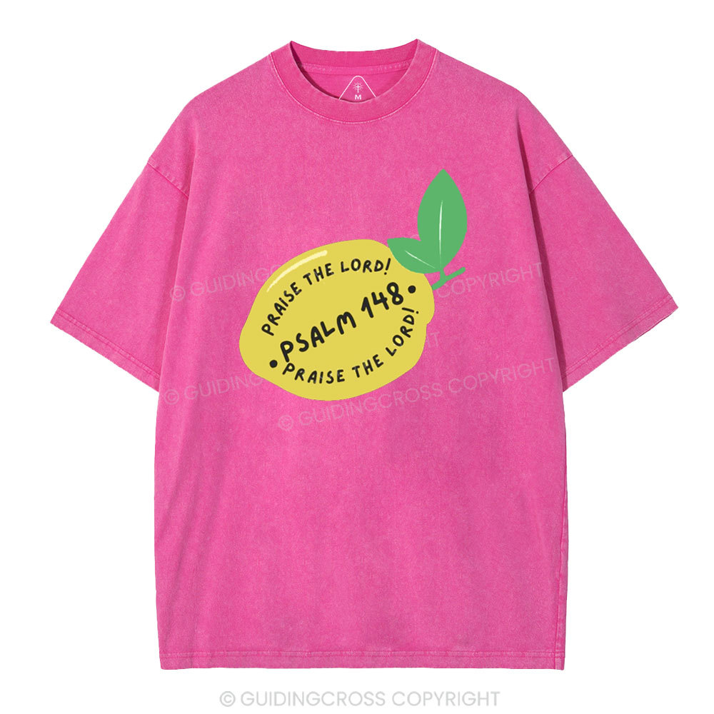 Praise The Lord Christian Washed T-Shirt