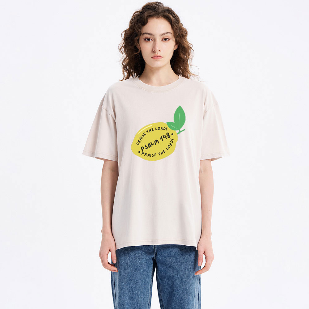 Praise The Lord Christian Washed T-Shirt