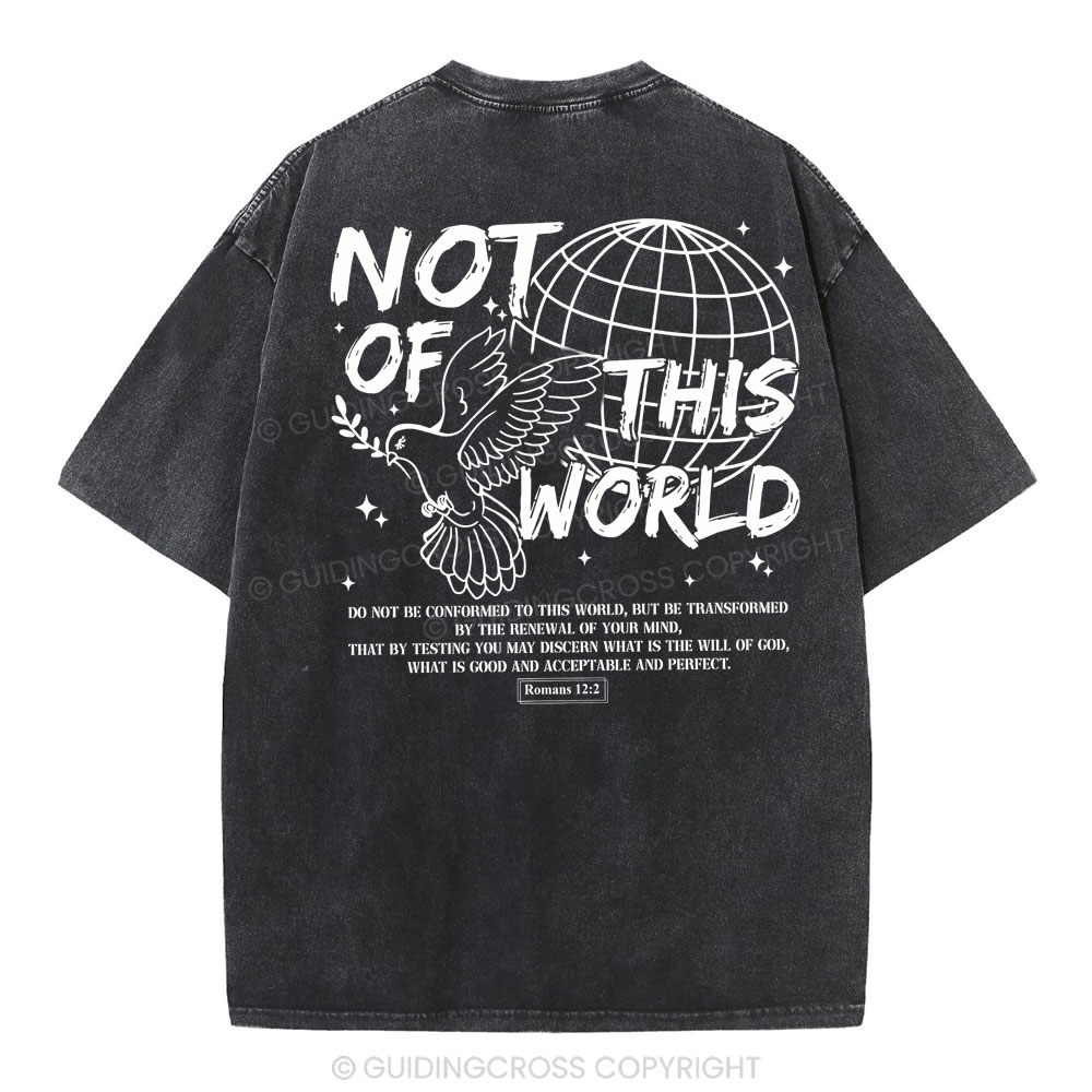 Not Of Thos World Christian Washed T-Shirt