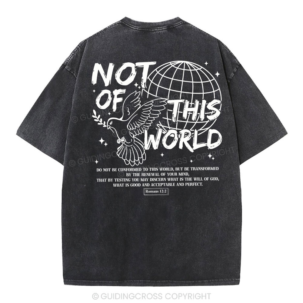 Not Of Thos World Christian Washed T-Shirt