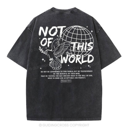 Not Of Thos World Christian Washed T-Shirt
