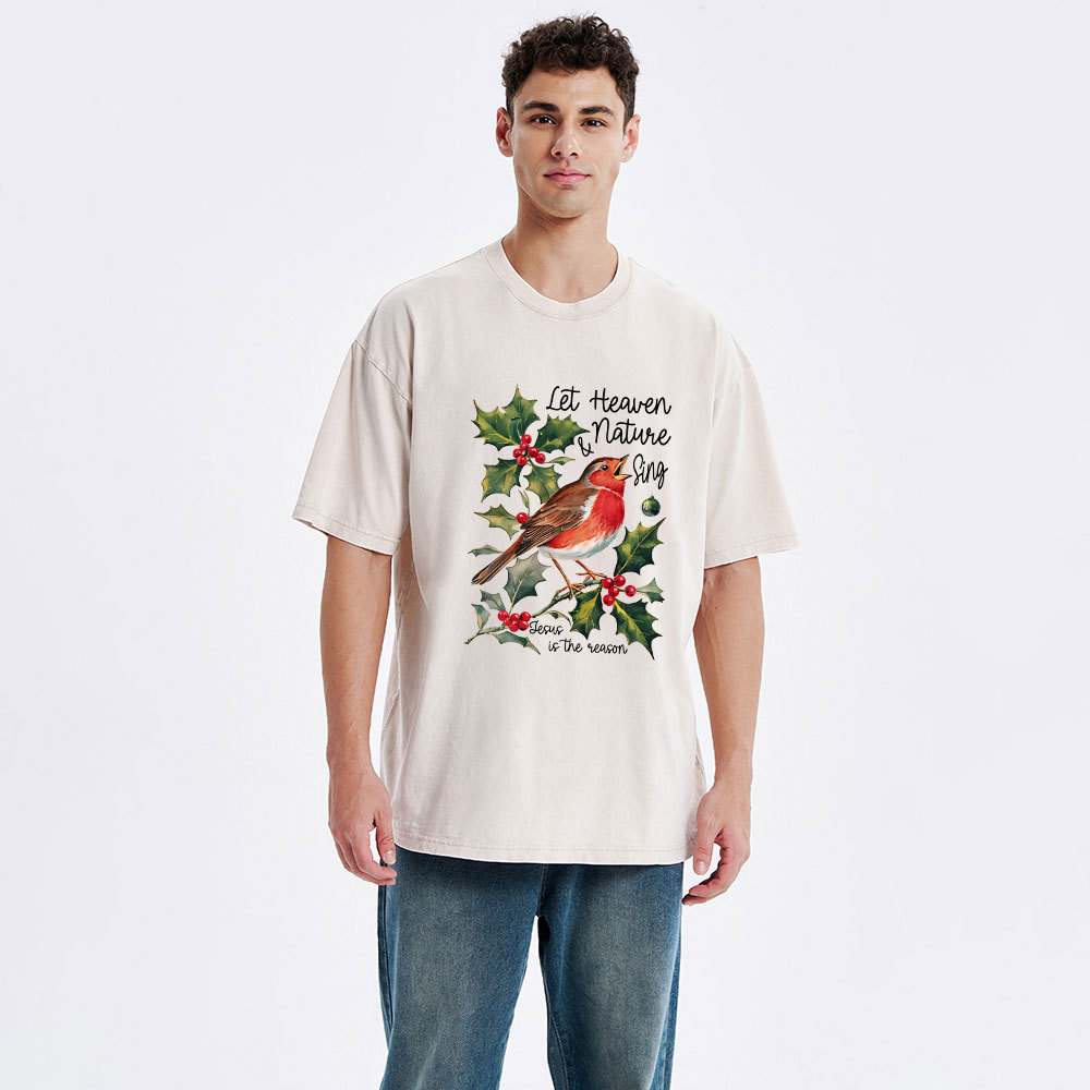 Let Heaven And Nature Sing Christian Christmas Washed T-Shirt