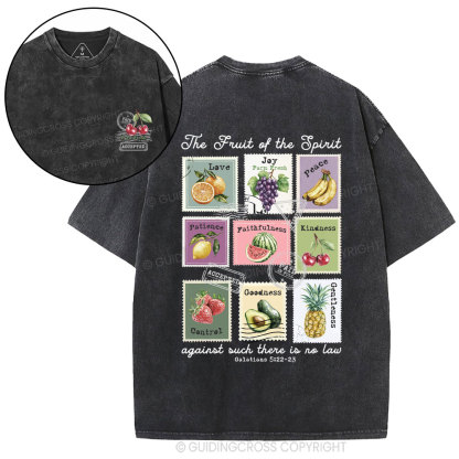 Fruit Of The Spirit Christian Washed T-Shirt