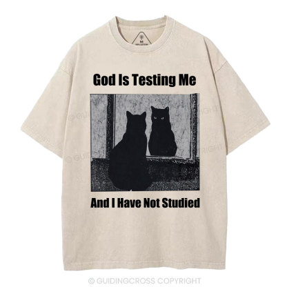 God Is Testing Me And I Have Not Studied Christian Washed T-Shirt