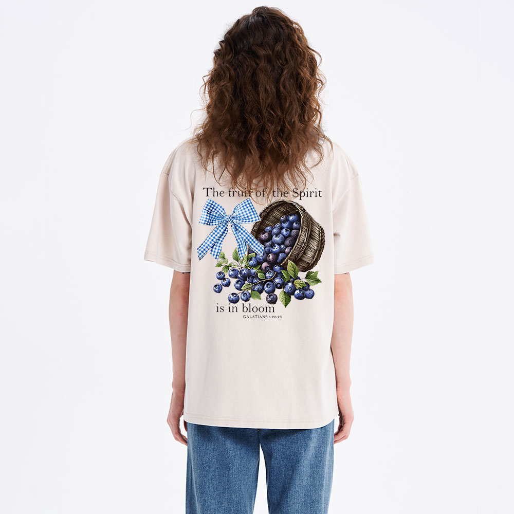 The Fruit Of The Spirit Christian Washed T-Shirt