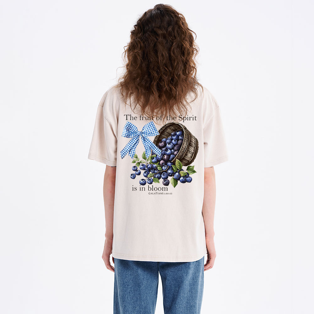 The Fruit Of The Spirit Christian Washed T-Shirt