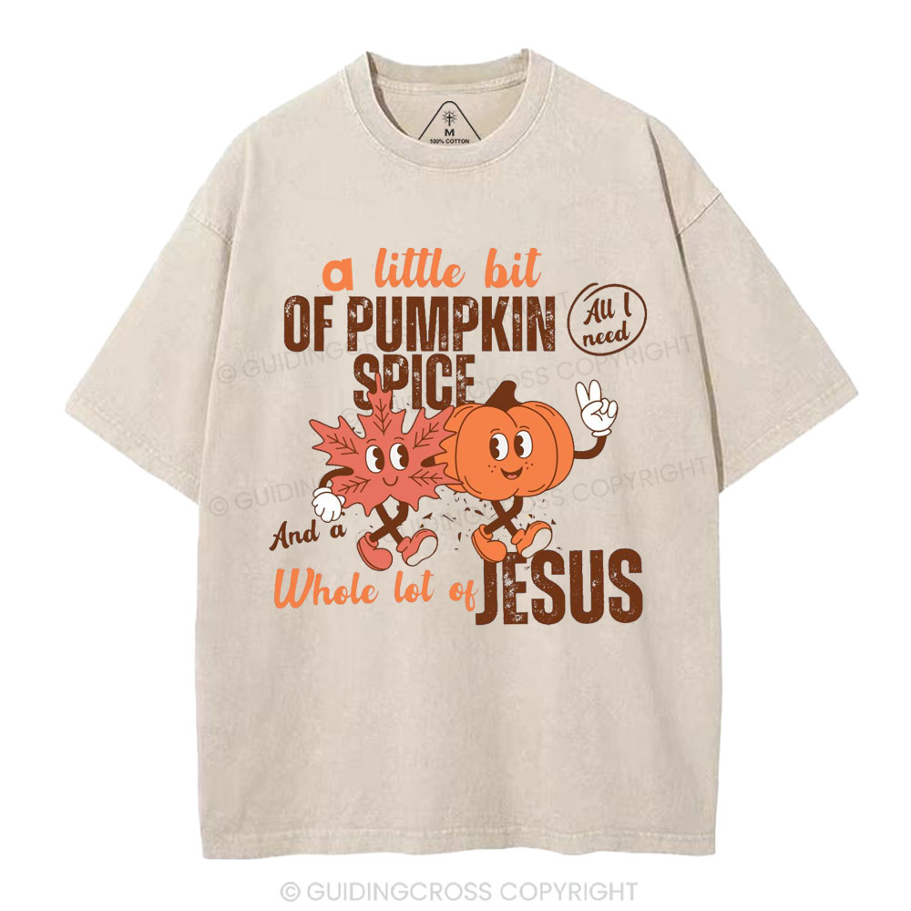 A Little Bit Of Pumpkin Spice And A Whole Lot Of Jesus Christian Washed T-Shirt