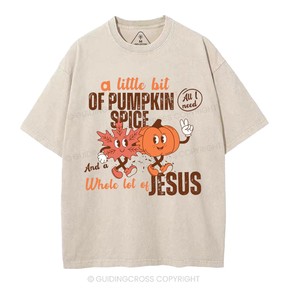 A Little Bit Of Pumpkin Spice And A Whole Lot Of Jesus Christian Washed T-Shirt