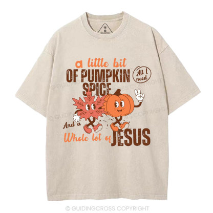 A Little Bit Of Pumpkin Spice And A Whole Lot Of Jesus Christian Washed T-Shirt