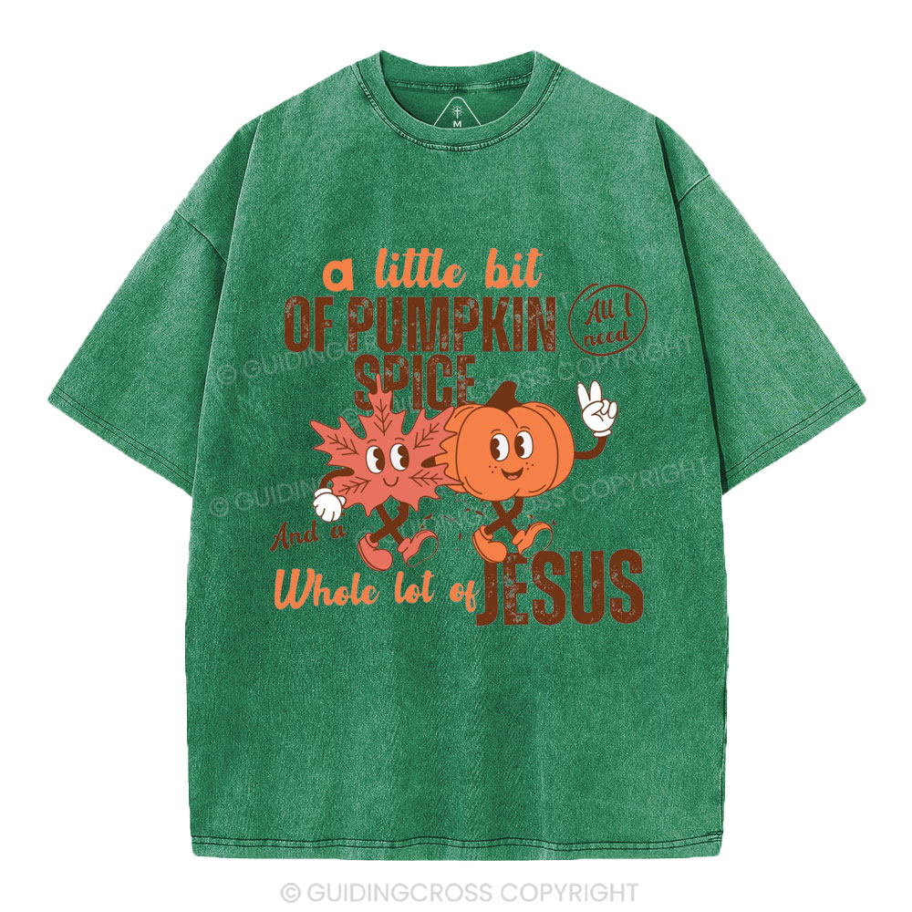 A Little Bit Of Pumpkin Spice And A Whole Lot Of Jesus Christian Washed T-Shirt