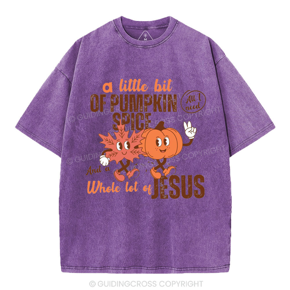 A Little Bit Of Pumpkin Spice And A Whole Lot Of Jesus Christian Washed T-Shirt
