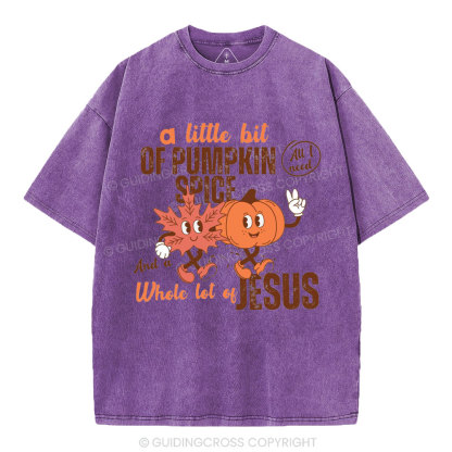 A Little Bit Of Pumpkin Spice And A Whole Lot Of Jesus Christian Washed T-Shirt