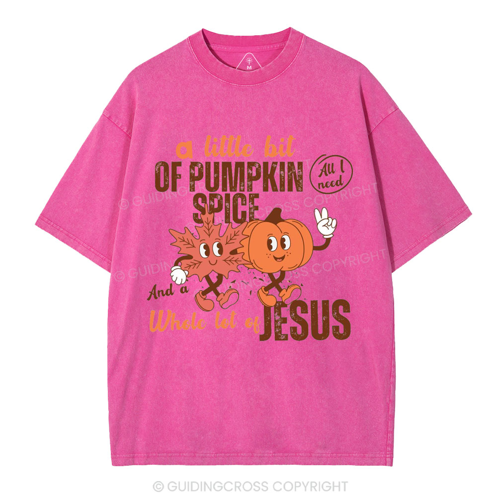 A Little Bit Of Pumpkin Spice And A Whole Lot Of Jesus Christian Washed T-Shirt