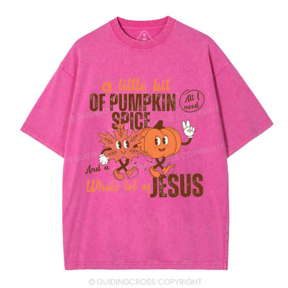 A Little Bit Of Pumpkin Spice And A Whole Lot Of Jesus Christian Washed T-Shirt