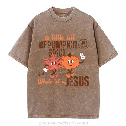 A Little Bit Of Pumpkin Spice And A Whole Lot Of Jesus Christian Washed T-Shirt