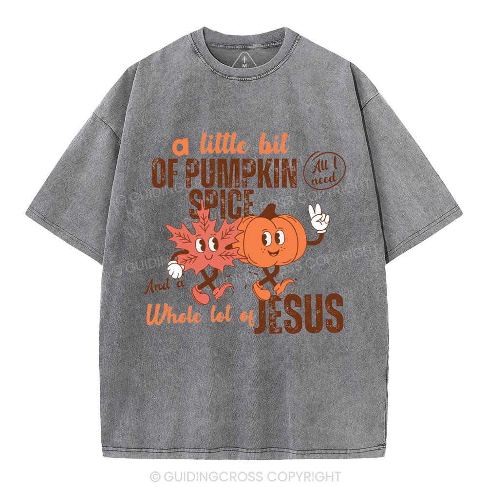 A Little Bit Of Pumpkin Spice And A Whole Lot Of Jesus Christian Washed T-Shirt